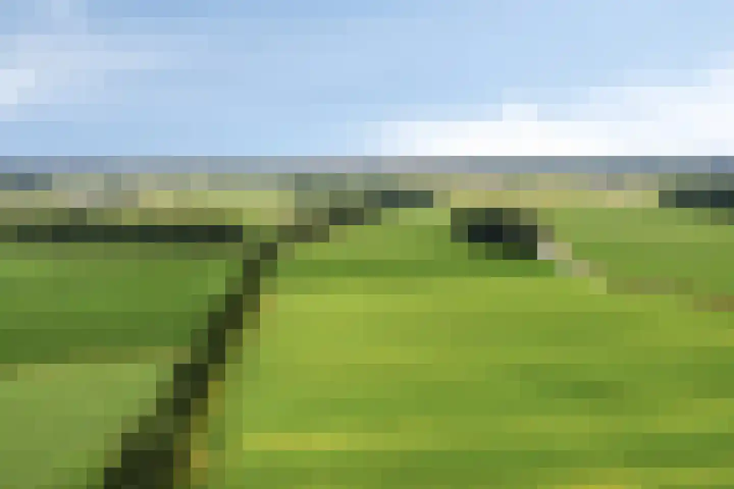Barenbroeklaan 36 Giesbeek thumbnail 54