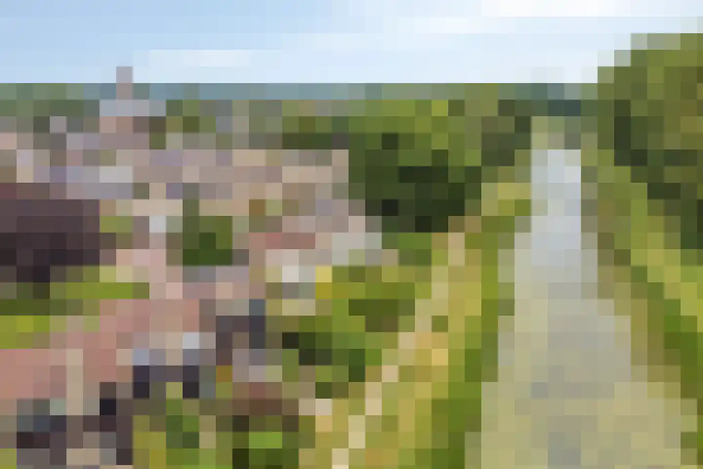 Barenbroeklaan 36 Giesbeek thumbnail 6