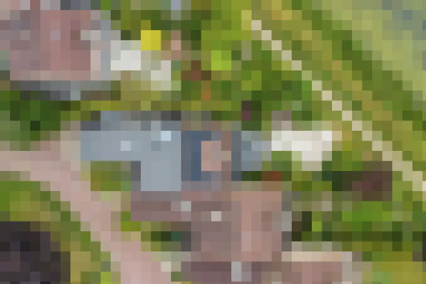 Barenbroeklaan 36 Giesbeek thumbnail 8