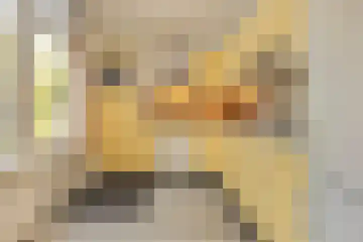 Barenbroeklaan 55 Giesbeek thumbnail 10