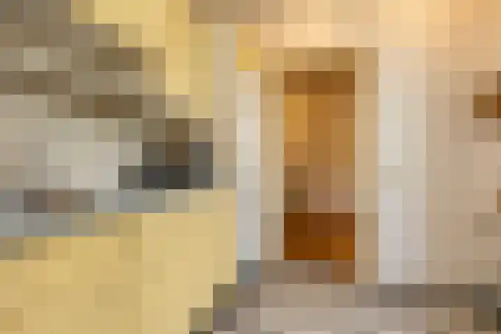 Barenbroeklaan 55 Giesbeek thumbnail 11