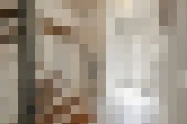 Barenbroeklaan 55 Giesbeek thumbnail 12