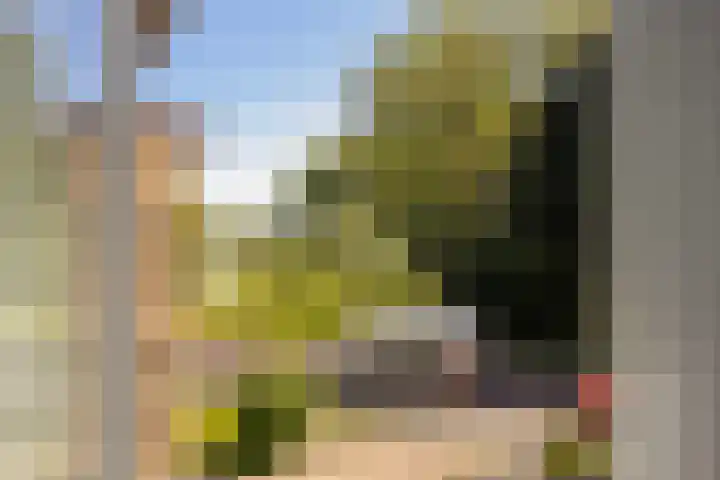 Barenbroeklaan 55 Giesbeek thumbnail 17