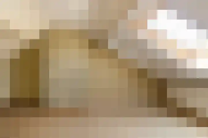 Barenbroeklaan 55 Giesbeek thumbnail 24