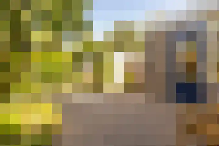 Barenbroeklaan 55 Giesbeek thumbnail 26