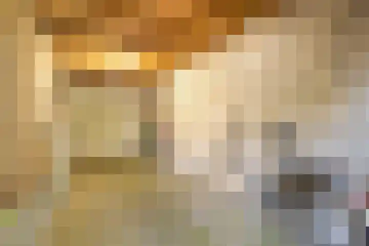 Barenbroeklaan 55 Giesbeek thumbnail 31