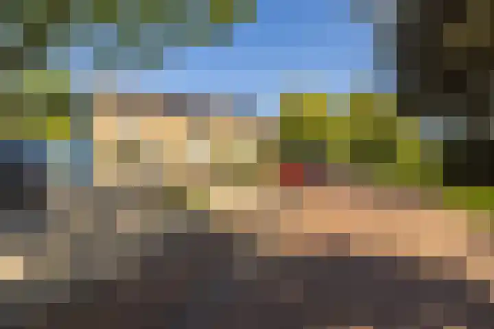 Barenbroeklaan 55 Giesbeek thumbnail 32