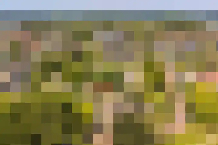 Barenbroeklaan 55 Giesbeek thumbnail 33