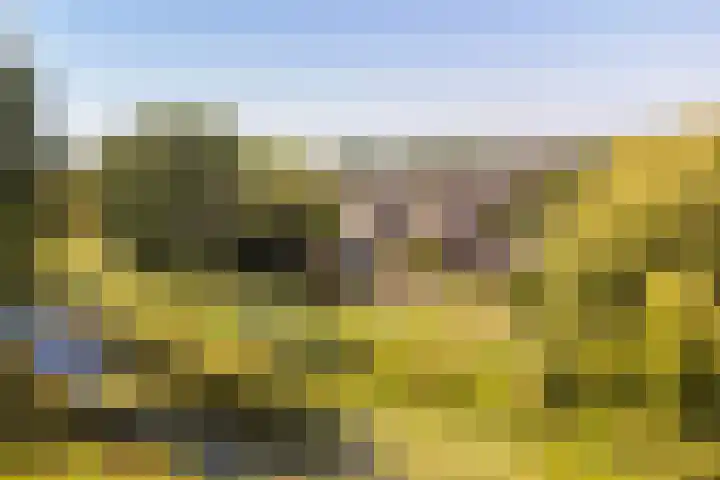 Barenbroeklaan 55 Giesbeek thumbnail 35