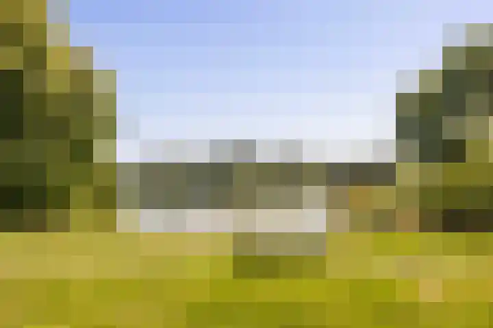 Barenbroeklaan 55 Giesbeek thumbnail 36