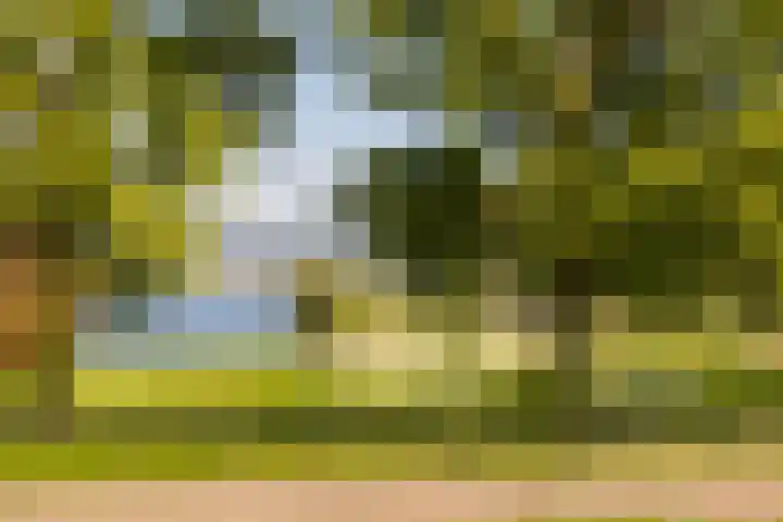 Barenbroeklaan 55 Giesbeek thumbnail 38