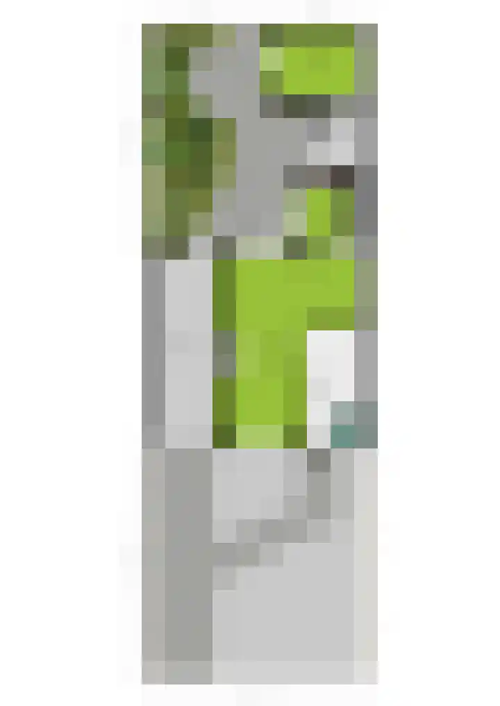 Barenbroeklaan 55 Giesbeek thumbnail 39
