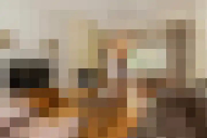 Barenbroeklaan 55 Giesbeek thumbnail 5