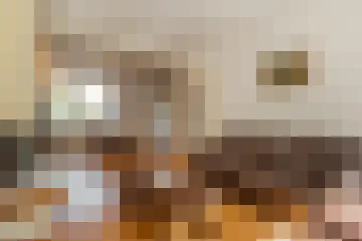 Barenbroeklaan 55 Giesbeek thumbnail 6