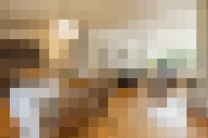 Barenbroeklaan 55 Giesbeek thumbnail 8