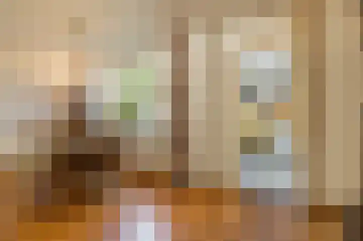 Barenbroeklaan 55 Giesbeek thumbnail 9