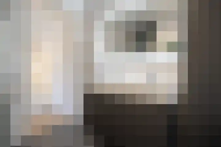 Barend Cohenstraat 23 Breda thumbnail 30