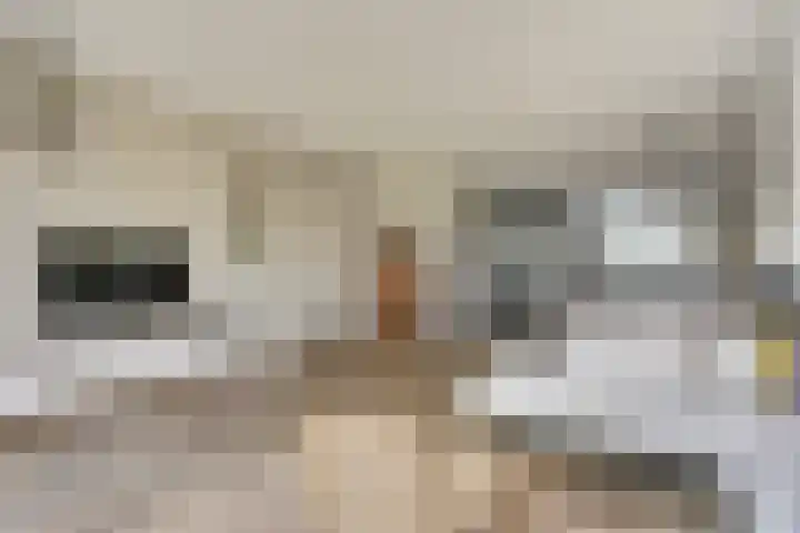 Barend Hooykaasstraat 12 Bergschenhoek thumbnail 12