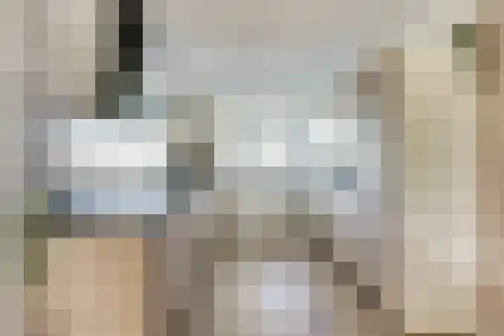 Barend Hooykaasstraat 12 Bergschenhoek thumbnail 15