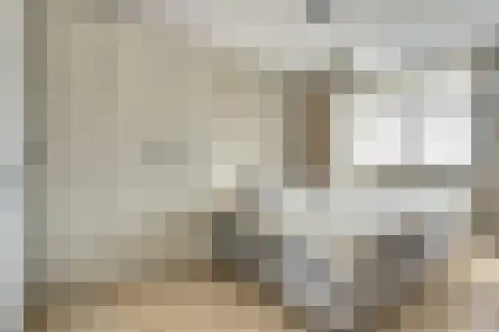 Barend Hooykaasstraat 12 Bergschenhoek thumbnail 19