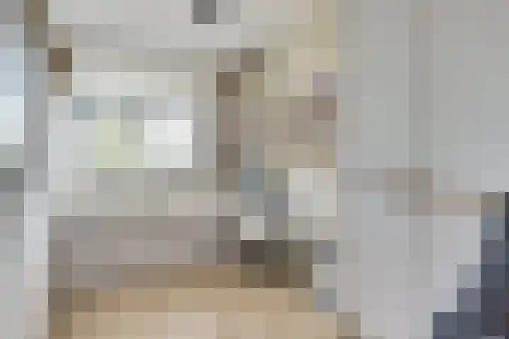 Barend Hooykaasstraat 12 Bergschenhoek thumbnail 20
