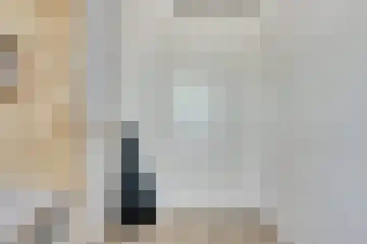 Barend Hooykaasstraat 12 Bergschenhoek thumbnail 21