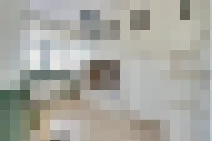 Barend Hooykaasstraat 12 Bergschenhoek thumbnail 23
