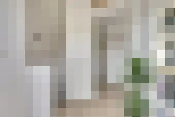 Barend Hooykaasstraat 12 Bergschenhoek thumbnail 26