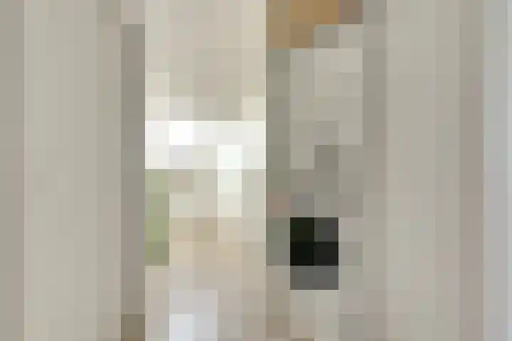 Barend Hooykaasstraat 12 Bergschenhoek thumbnail 27