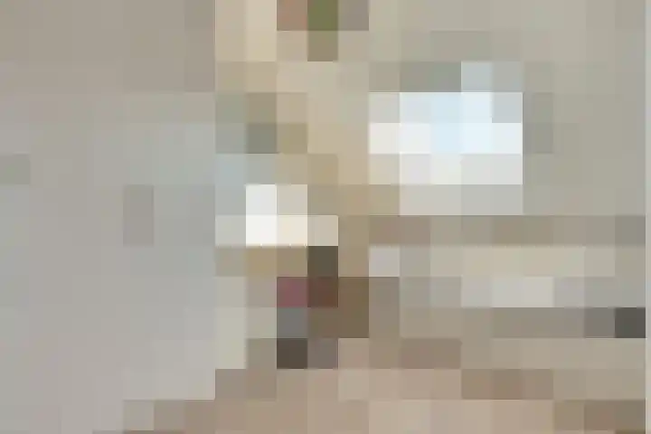 Barend Hooykaasstraat 12 Bergschenhoek thumbnail 30