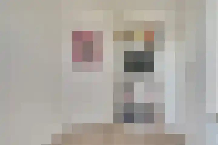 Barend Hooykaasstraat 12 Bergschenhoek thumbnail 31