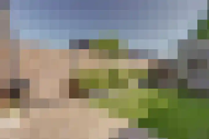Barend Hooykaasstraat 12 Bergschenhoek thumbnail 35