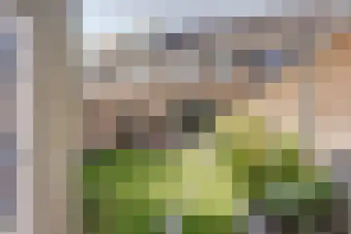 Barend Hooykaasstraat 12 Bergschenhoek thumbnail 37
