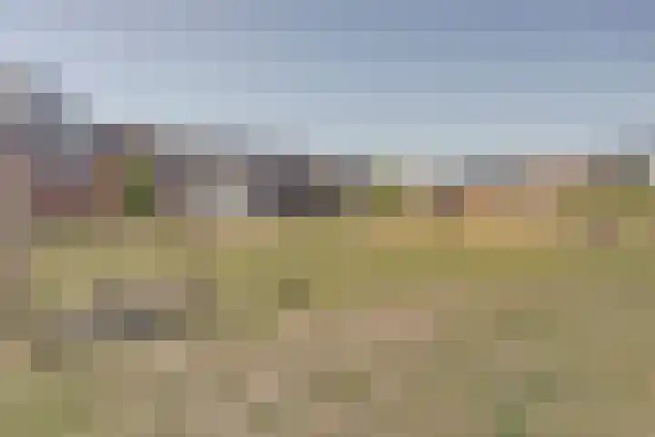 Barend Hooykaasstraat 12 Bergschenhoek thumbnail 38