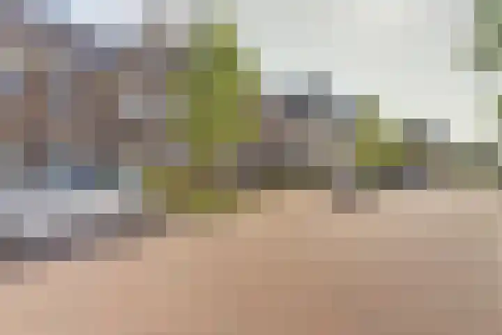 Barend Hooykaasstraat 12 Bergschenhoek thumbnail 40