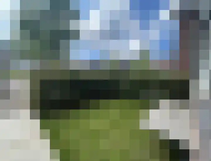 Barend Hooykaasstraat 12 Bergschenhoek thumbnail 6