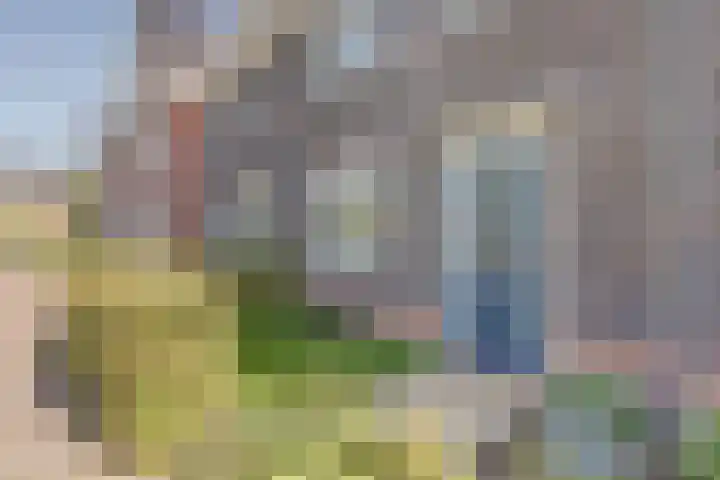 Barend Hooykaasstraat 12 Bergschenhoek thumbnail 7