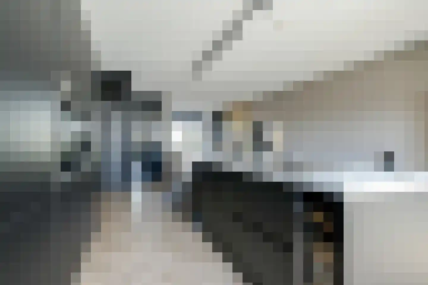 Barend Hooykaasstraat 18 Bergschenhoek thumbnail 13