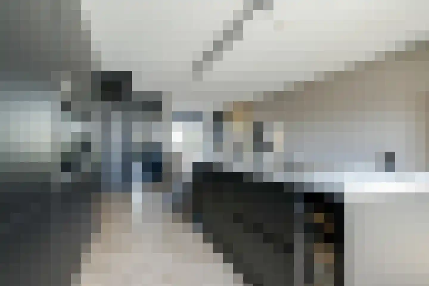 Barend Hooykaasstraat 18 Bergschenhoek thumbnail 14