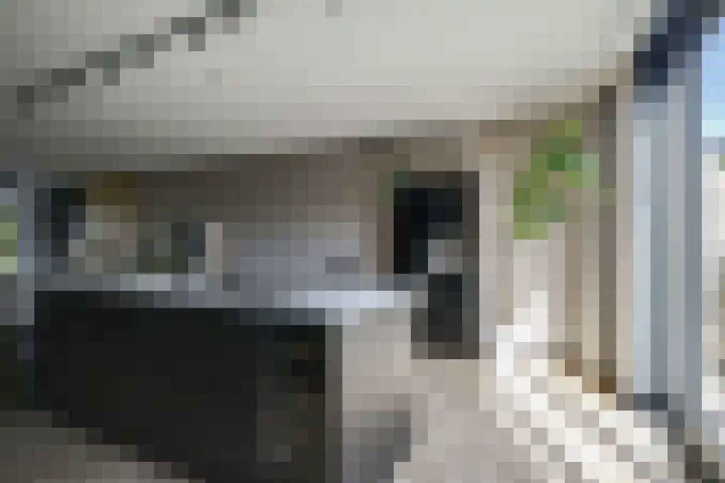 Barend Hooykaasstraat 18 Bergschenhoek thumbnail 15