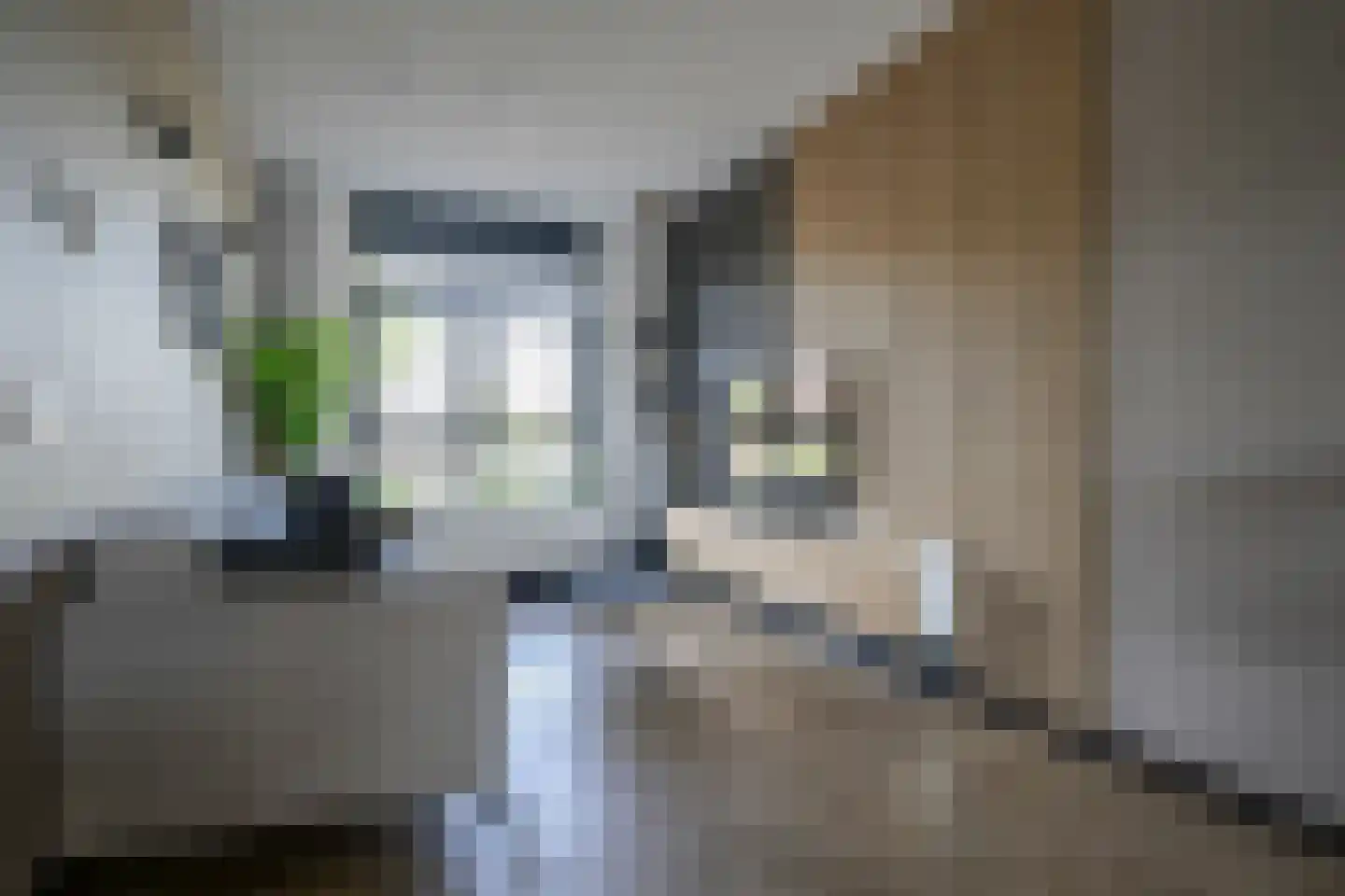 Barend Hooykaasstraat 18 Bergschenhoek thumbnail 16