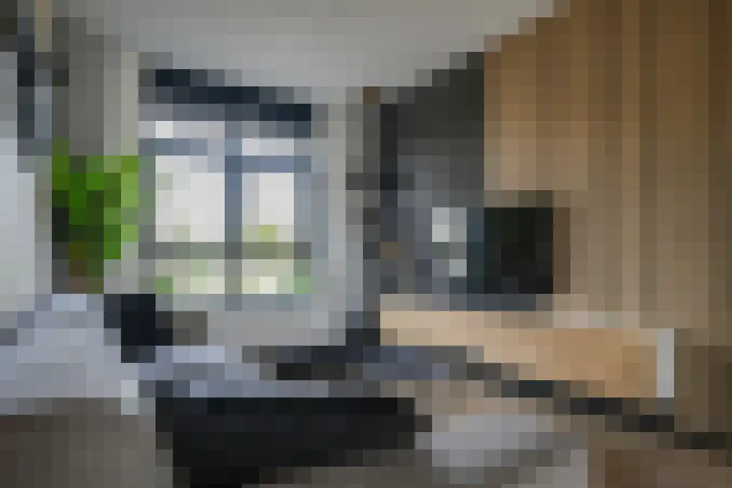 Barend Hooykaasstraat 18 Bergschenhoek thumbnail 17