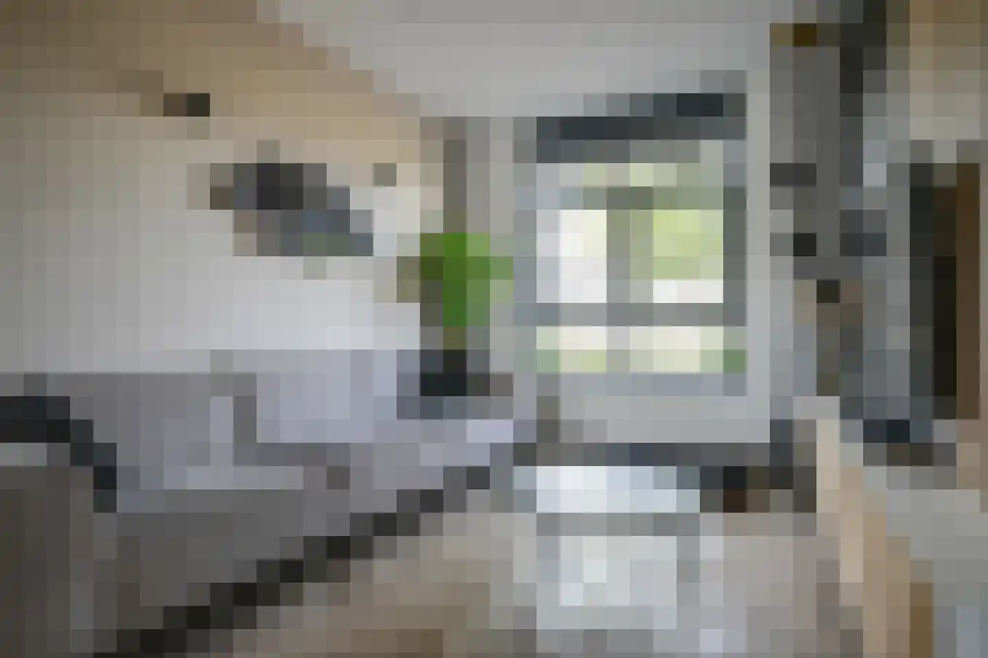 Barend Hooykaasstraat 18 Bergschenhoek thumbnail 17