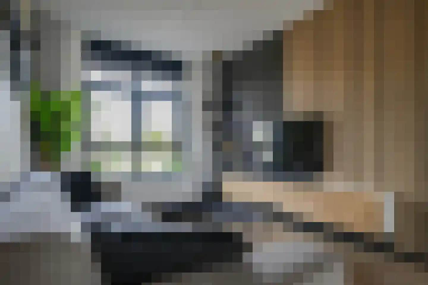 Barend Hooykaasstraat 18 Bergschenhoek thumbnail 18