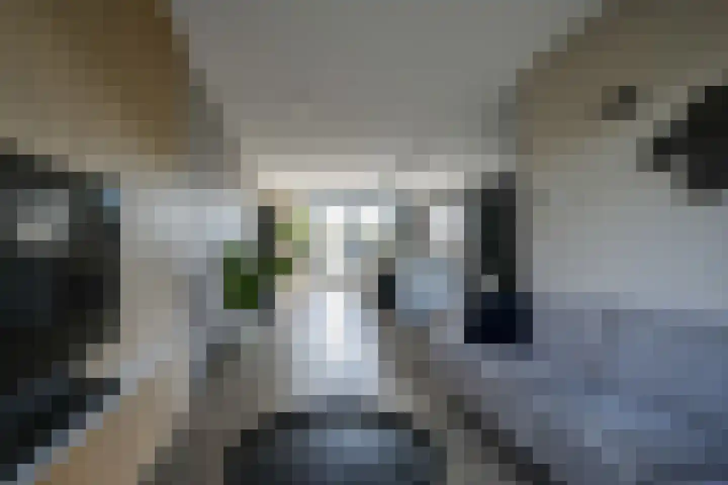Barend Hooykaasstraat 18 Bergschenhoek thumbnail 19