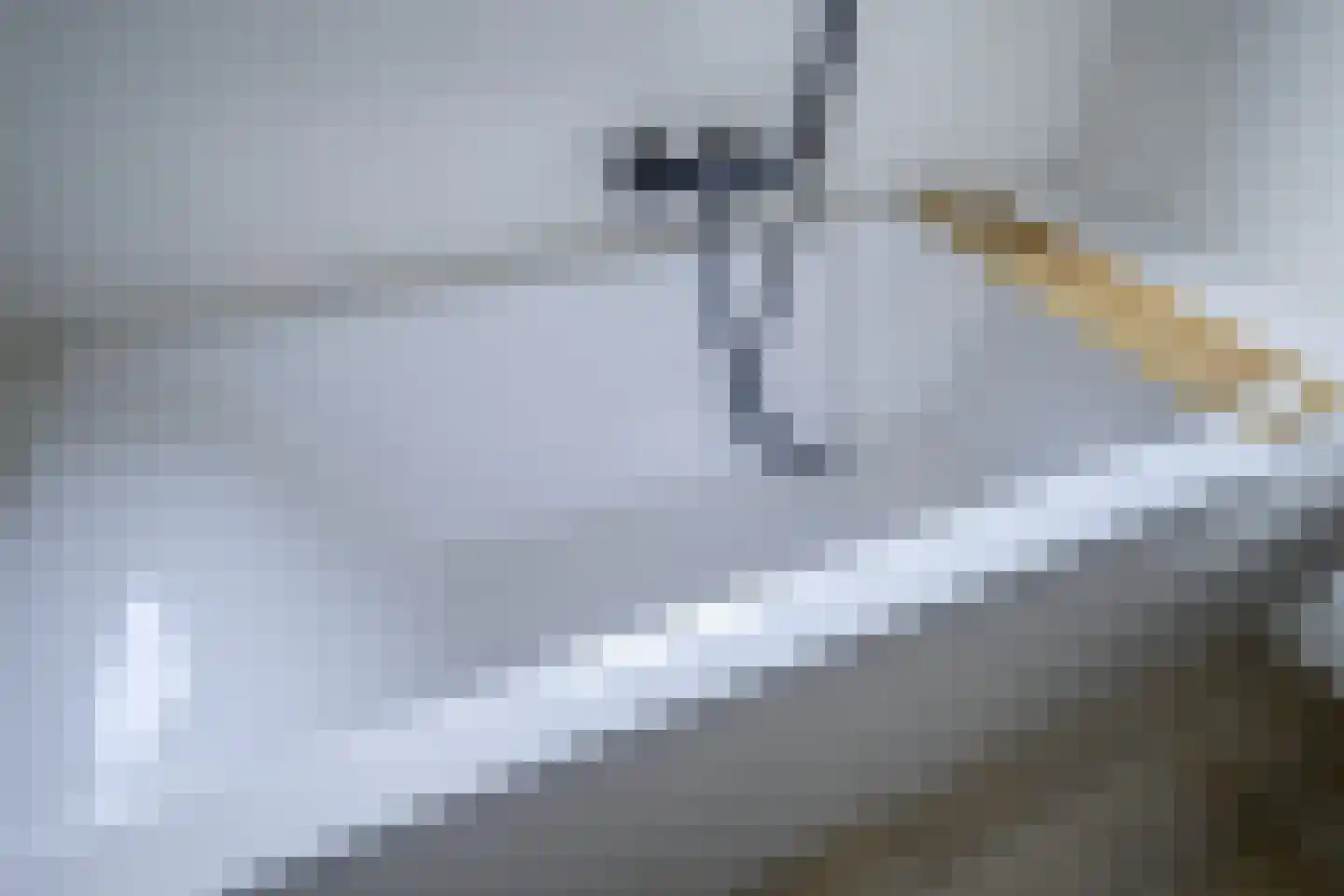 Barend Hooykaasstraat 18 Bergschenhoek thumbnail 23