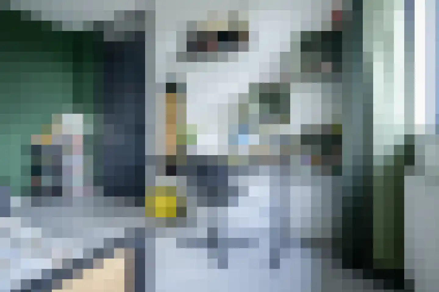 Barend Hooykaasstraat 18 Bergschenhoek thumbnail 26