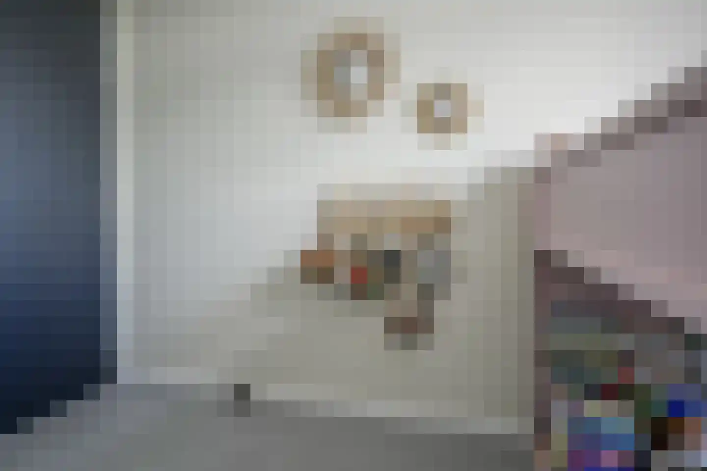Barend Hooykaasstraat 18 Bergschenhoek thumbnail 32