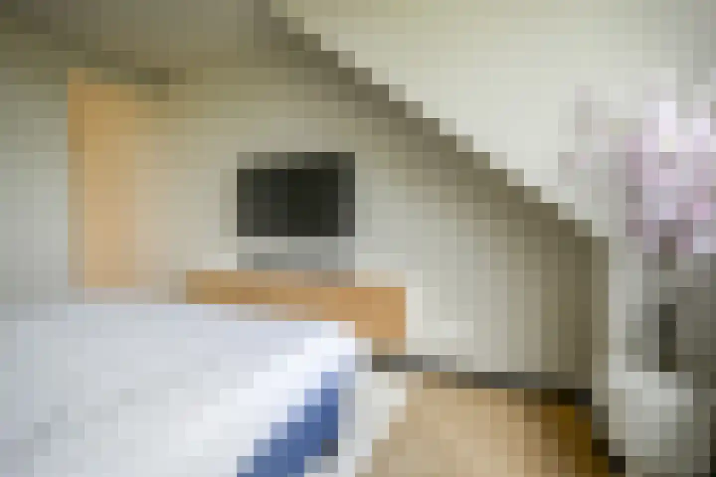 Barend Hooykaasstraat 18 Bergschenhoek thumbnail 34