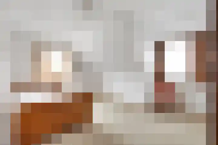Barend Kuisstraat 4 Nijkerk thumbnail 20